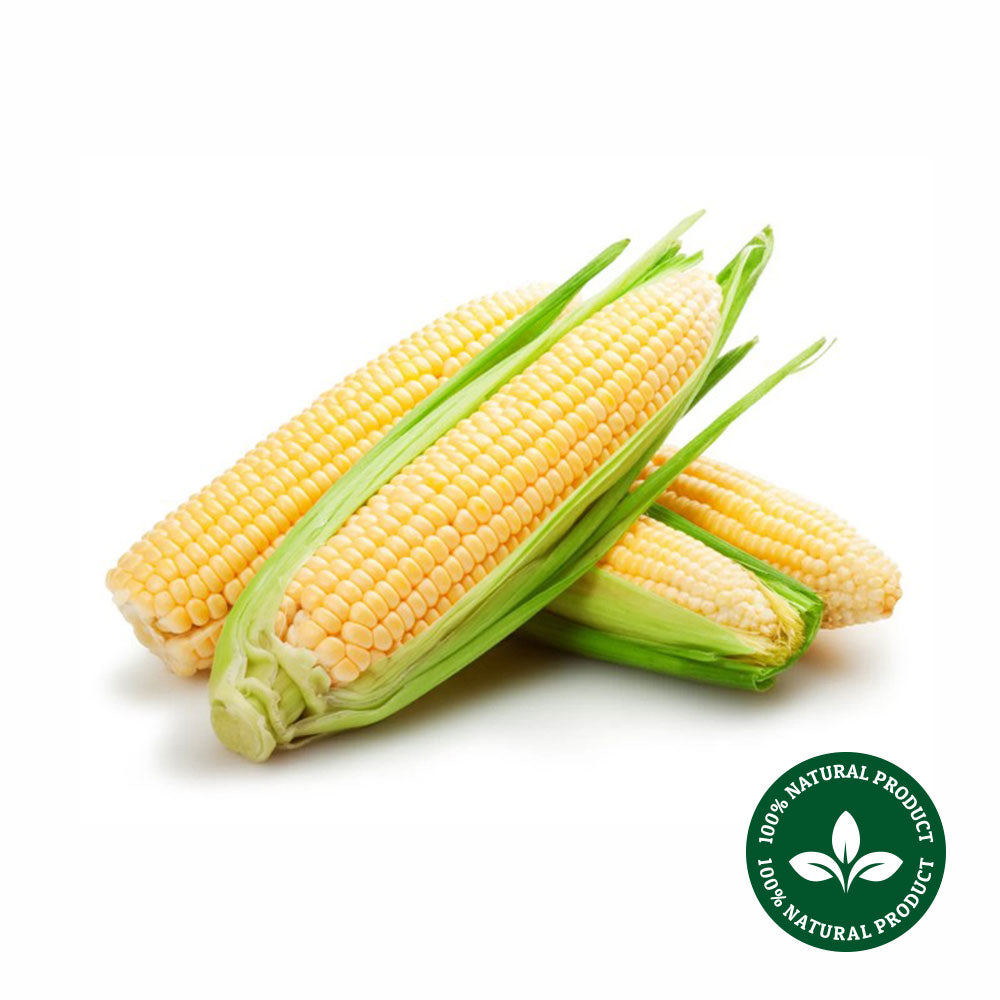Sweet Corn Organic