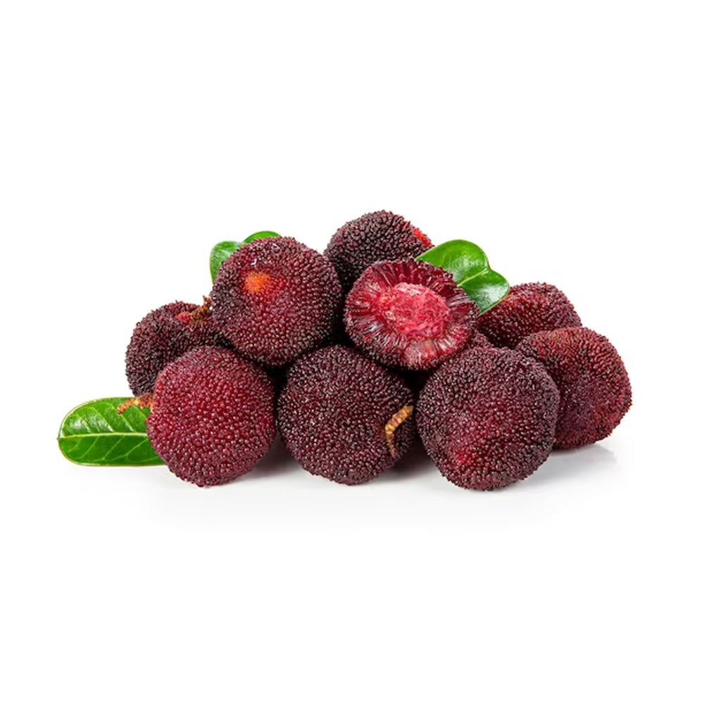 Wax Berry