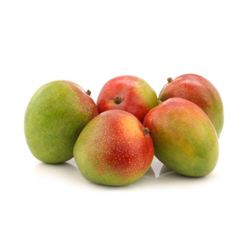 Mango R2E2 Egypt Box