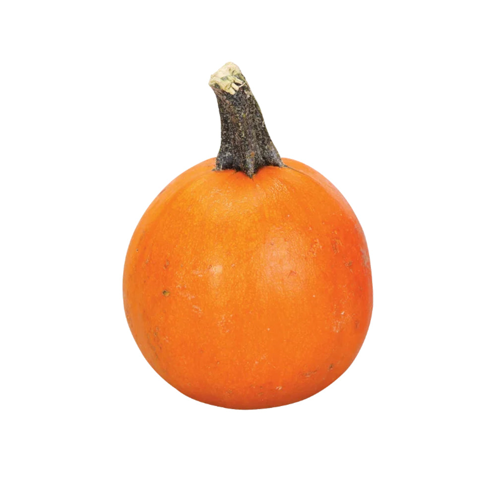 Wee-Bee-Little Pumpkins