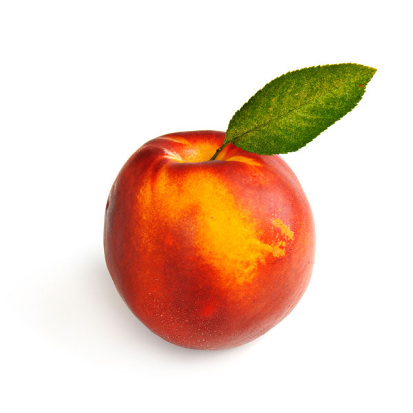 Nectarine Single