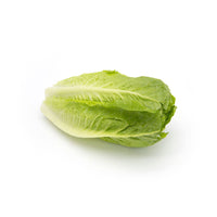 Lettuce Romaine