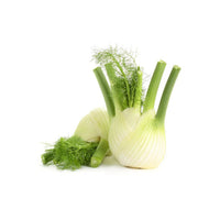 Fennel Holland