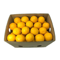 Orange Valencia Box