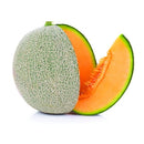 Rock Melon Brazil