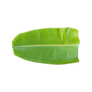 Banana Leaf