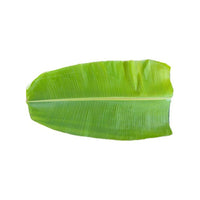 Banana Leaves