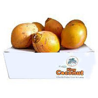 Coconut Young Sri Lanka Box