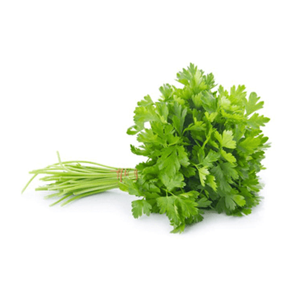 Coriander Leaves loose