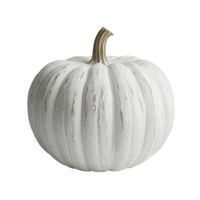 White Mini Pumpkins
