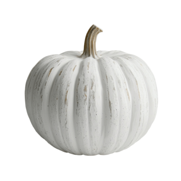 White Mini Pumpkins