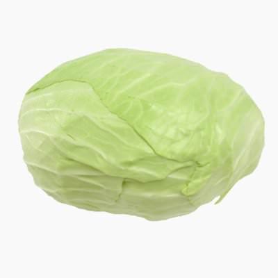 Cabbage White Flat
