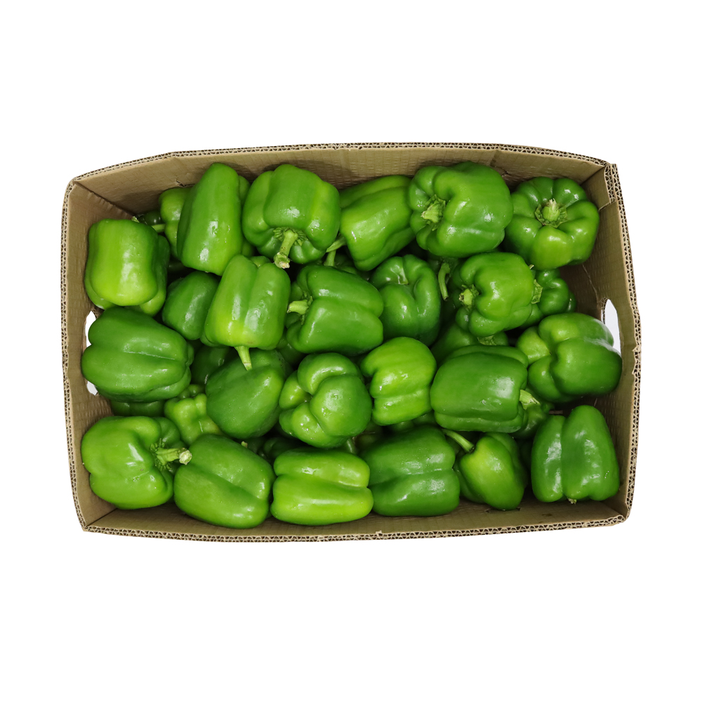 Capsicum Green Box