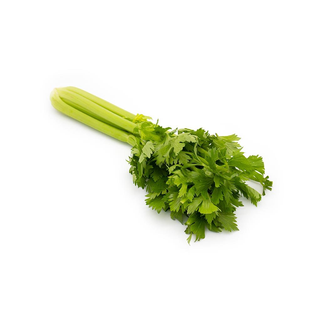 Celery (Iran)