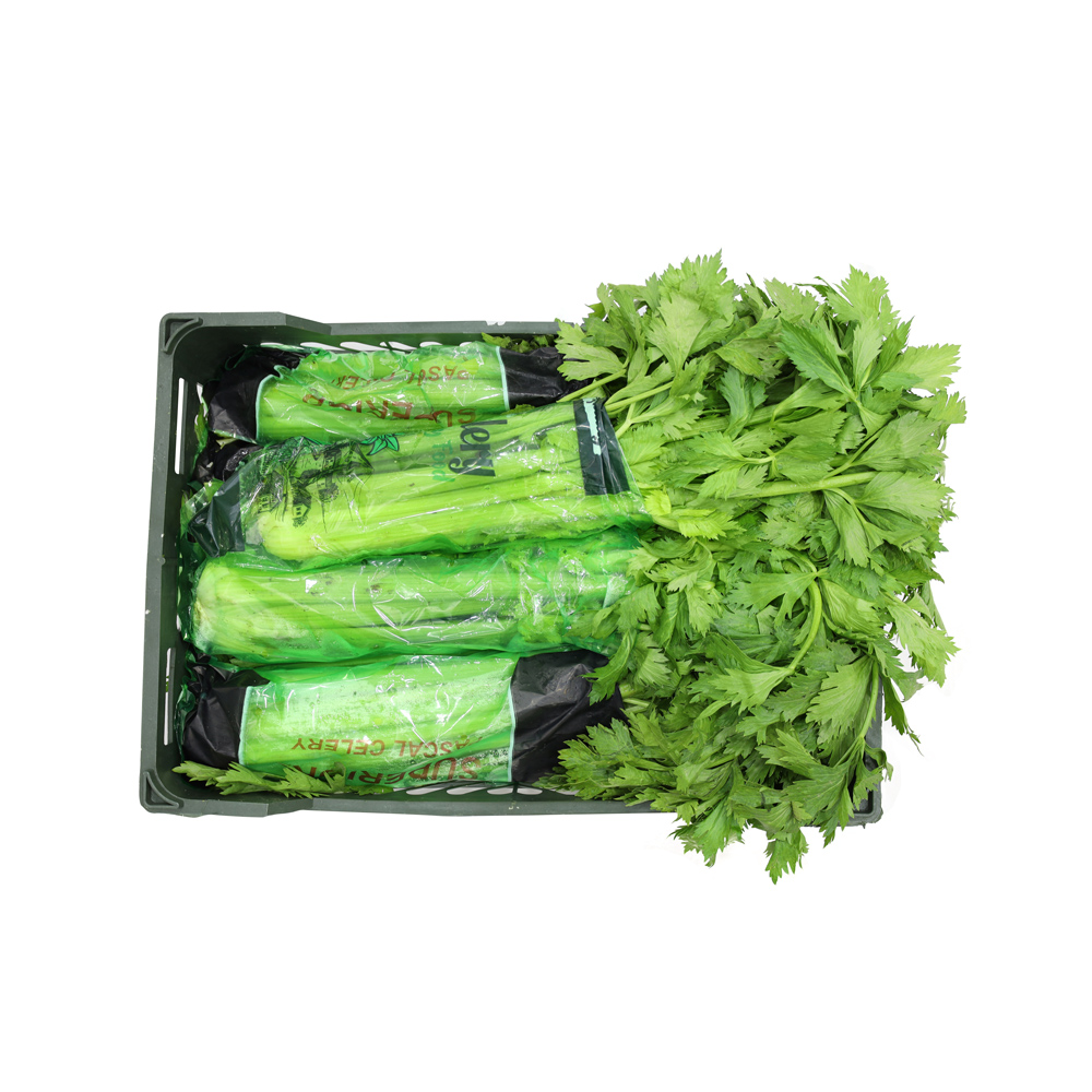 Celery Box (Iran)