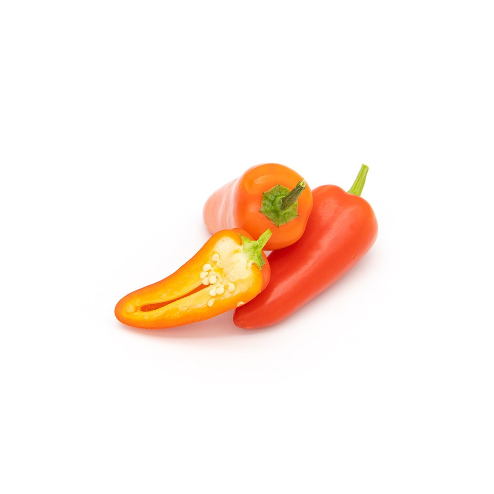 Chilli Jalapeno Red Holland