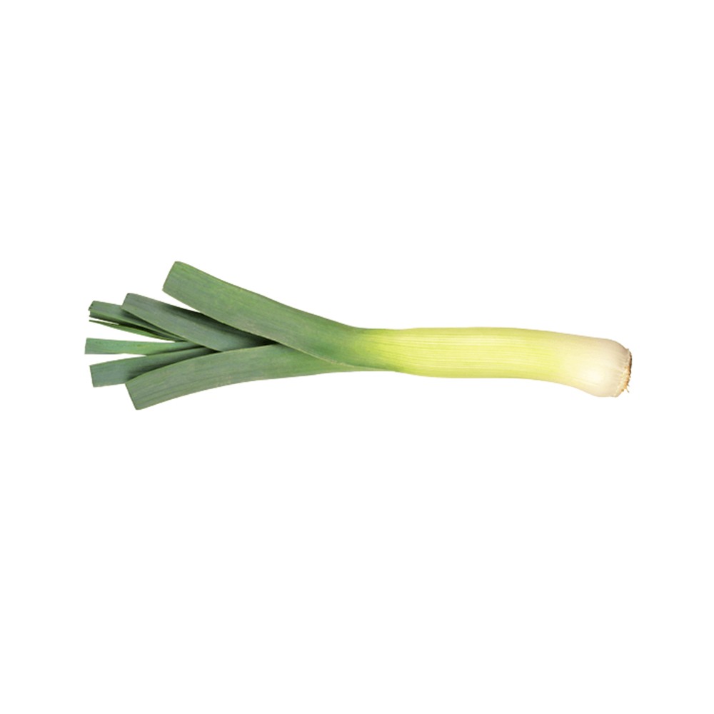 Leeks (Holland)