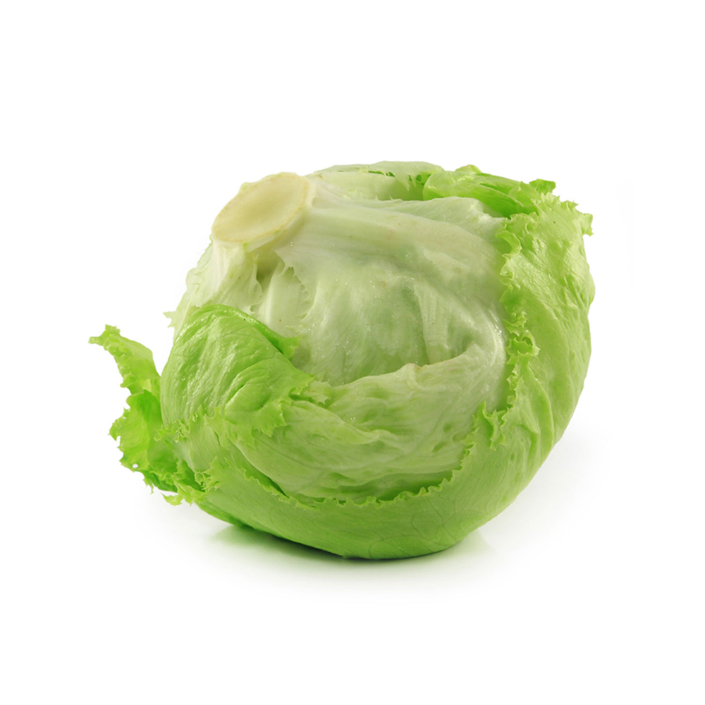 Lettuce Iceberg Spain