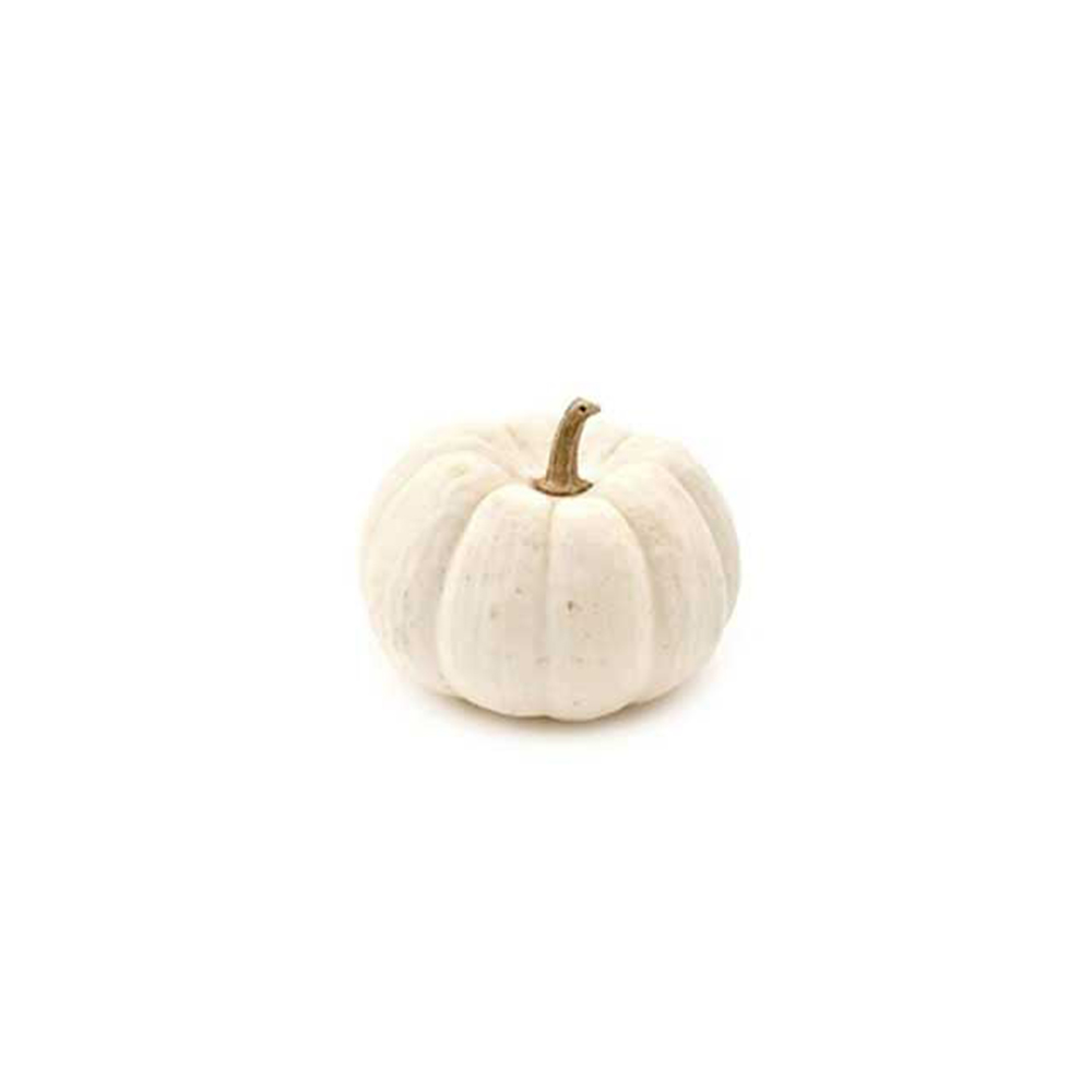 Mini White Pumpkin Halloween