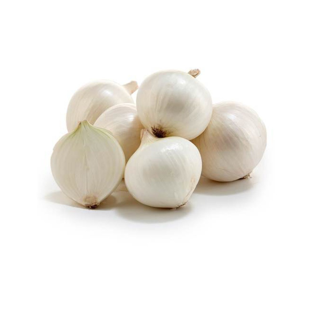Onion White Iran