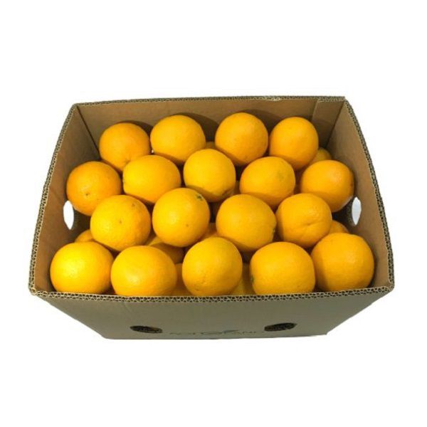 Orange Valencia Box