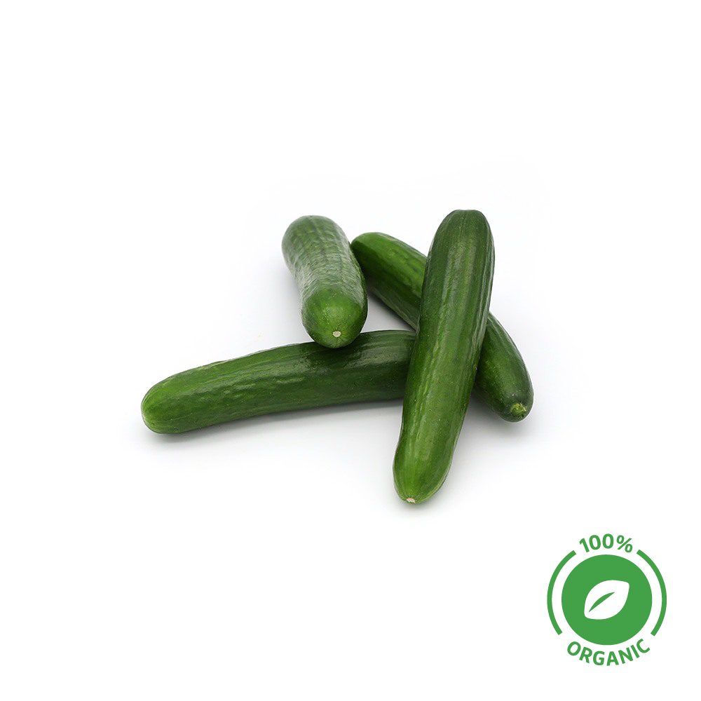 Cucumber Organic