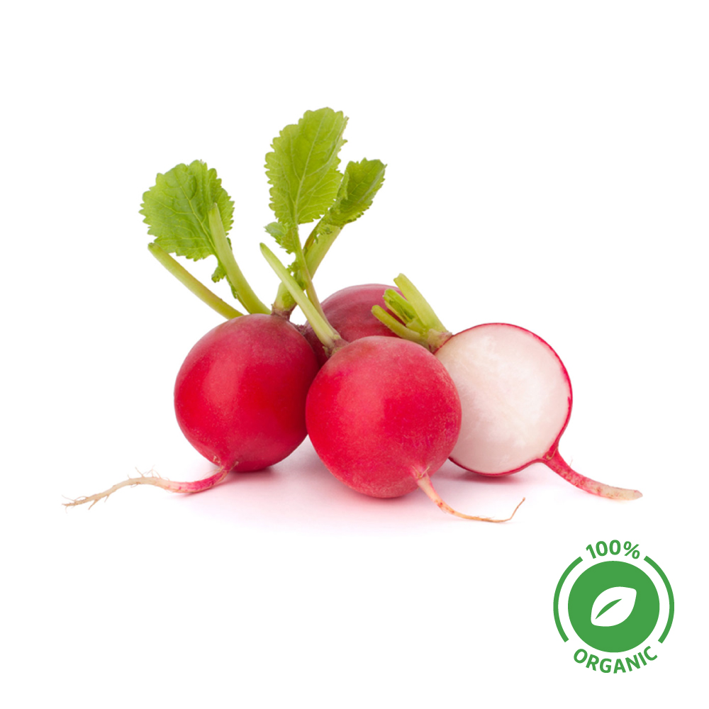 Radish Red Organic