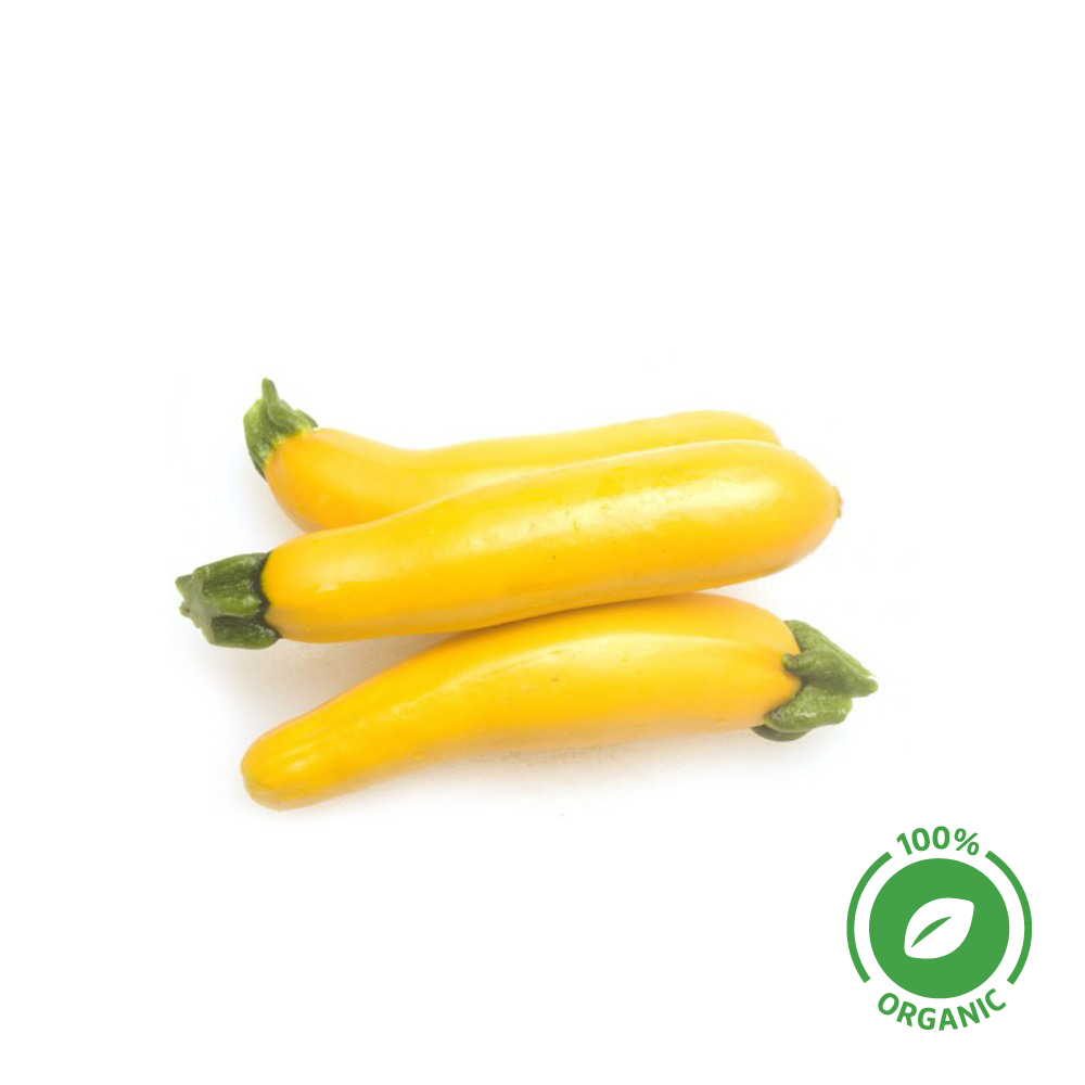 Zucchini Yellow Organic