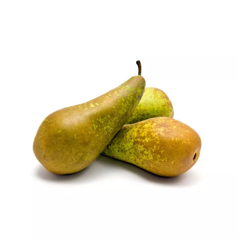 Pears Conference Holland