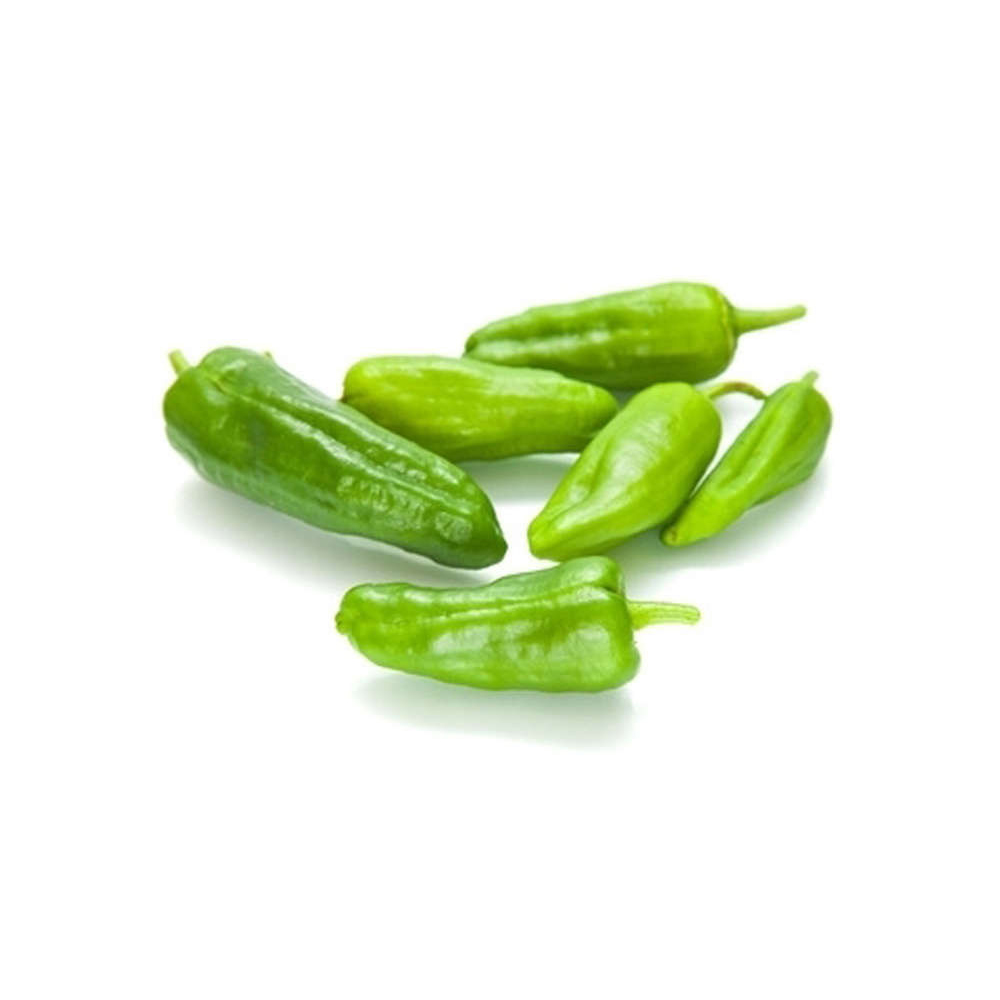 Pimiento Padron Chilli Spain