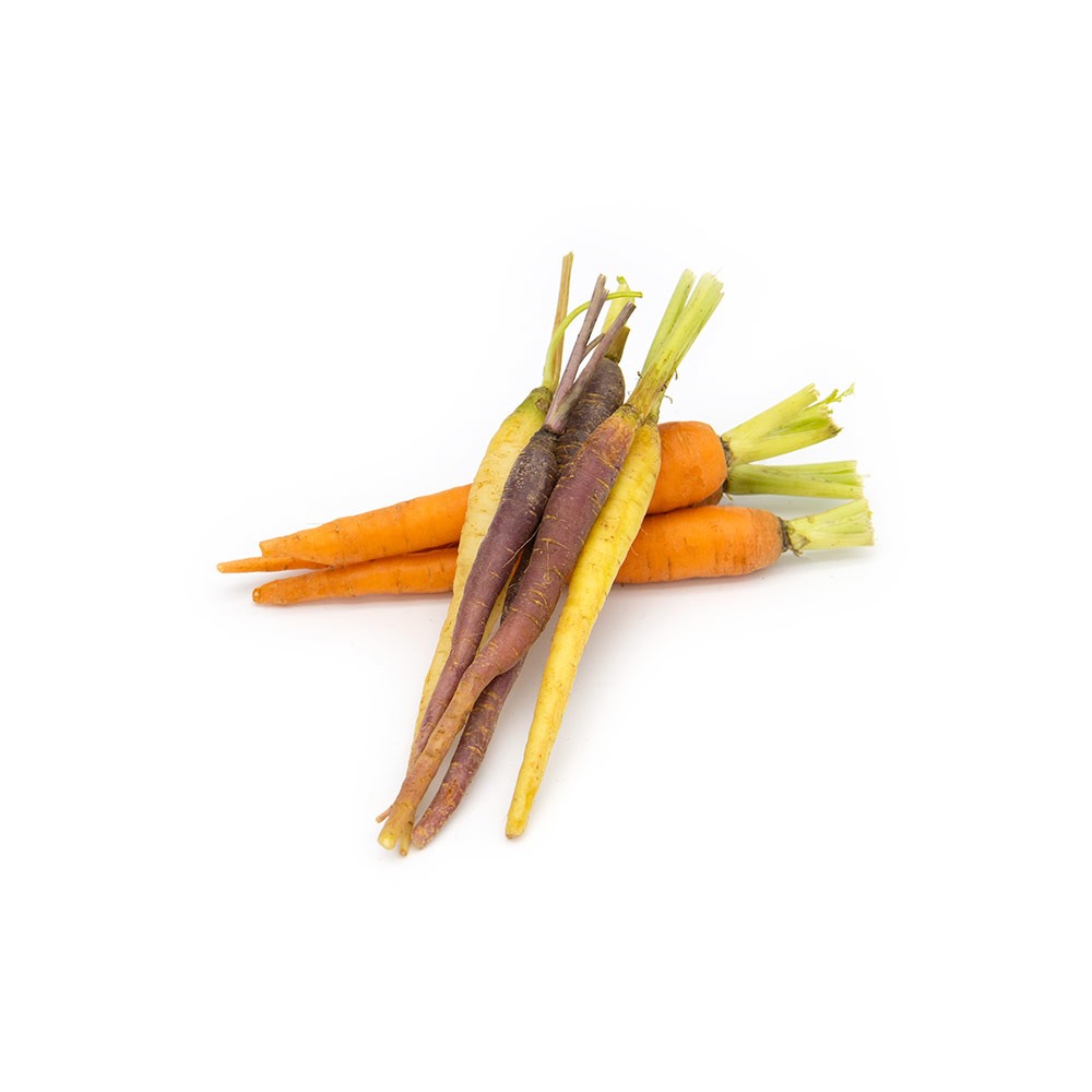Rainbow Carrot
