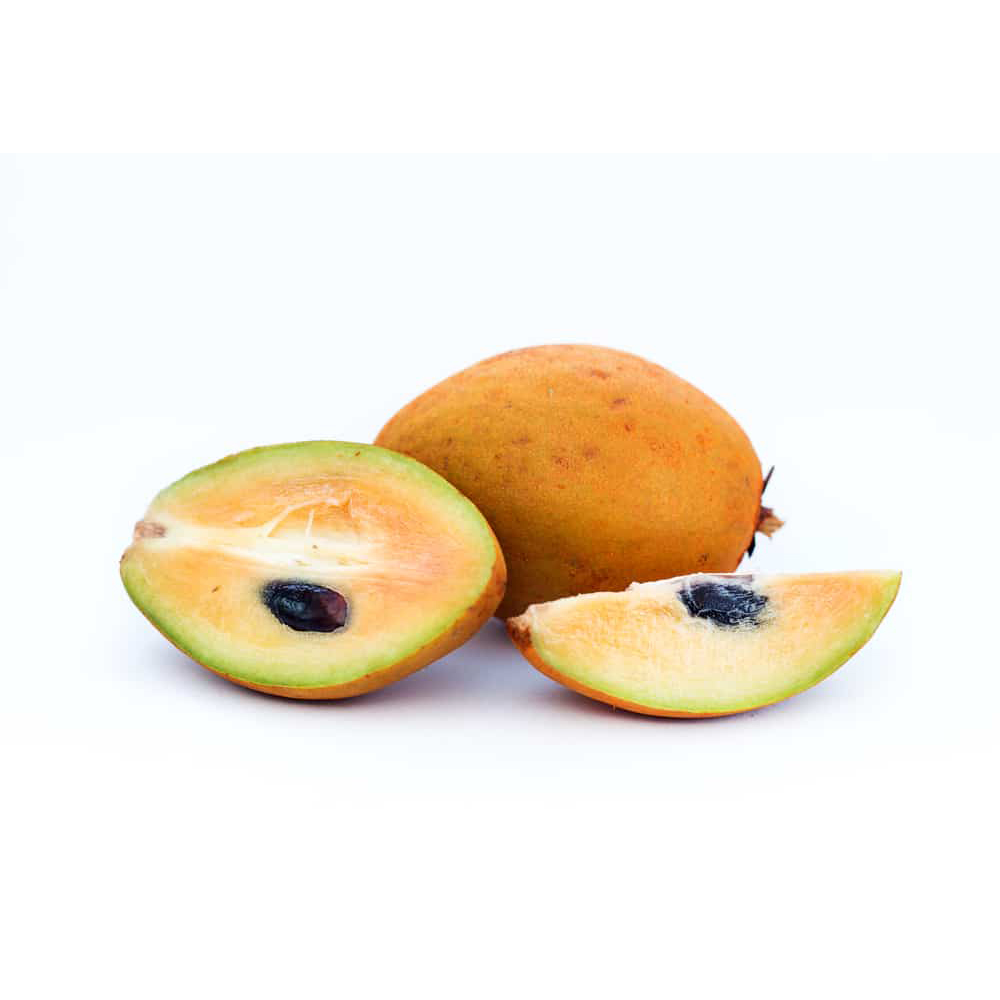 Sapodilla Thailand