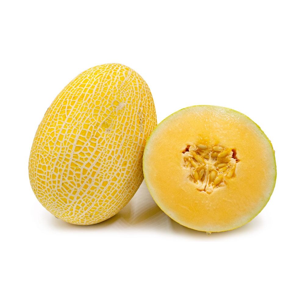 Sweet Melon Iran