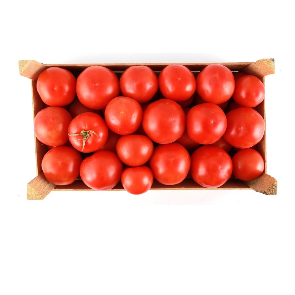 Tomato  Box UAE