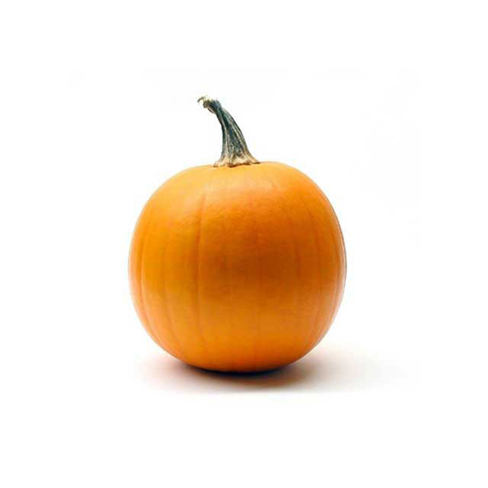 Wee-be-little Pumpkin Halloween
