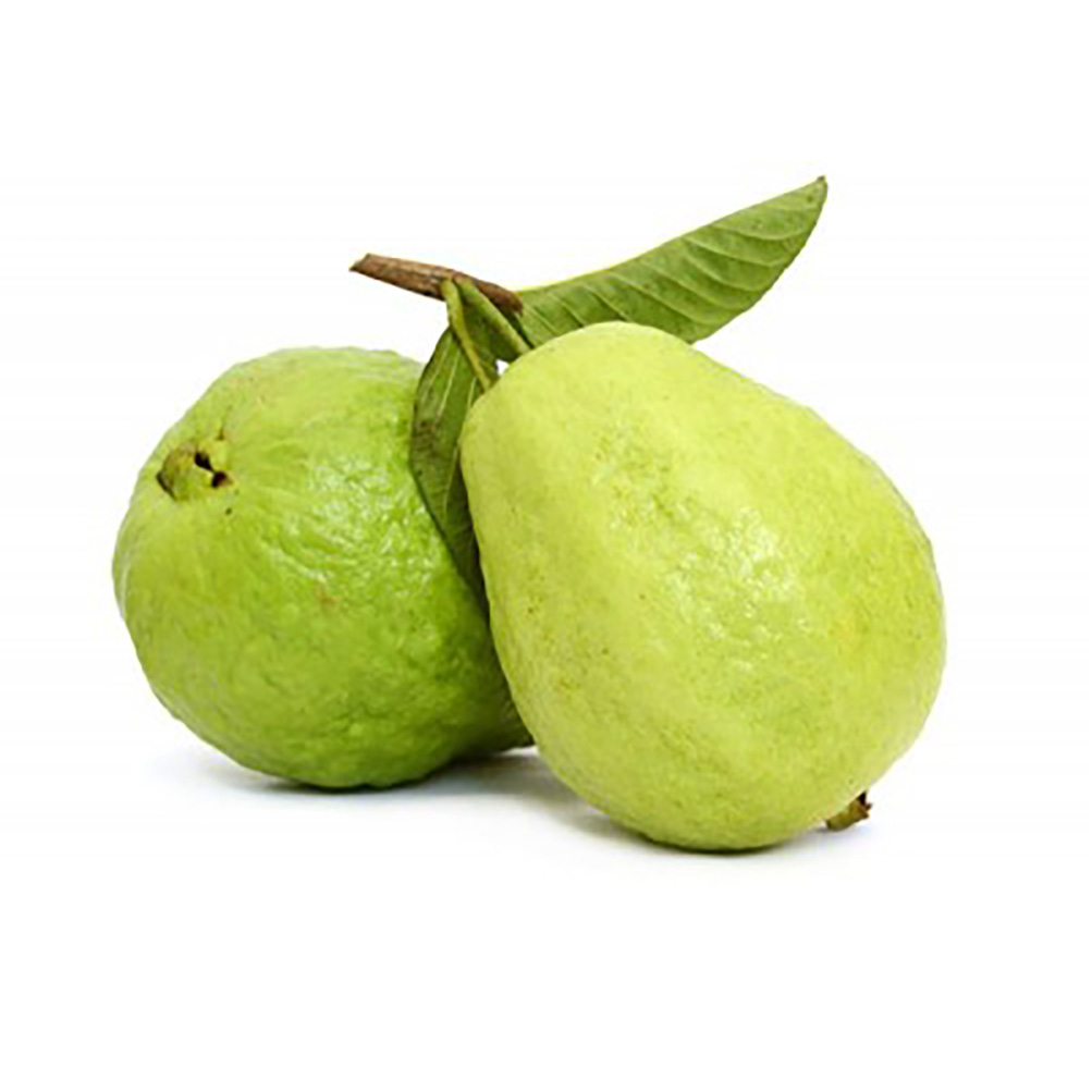 Guava (Egypt)