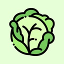 Vegetables / Cabbages