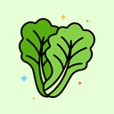 Vegetables / Lettuces