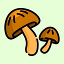 Vegetables / Mushrooms