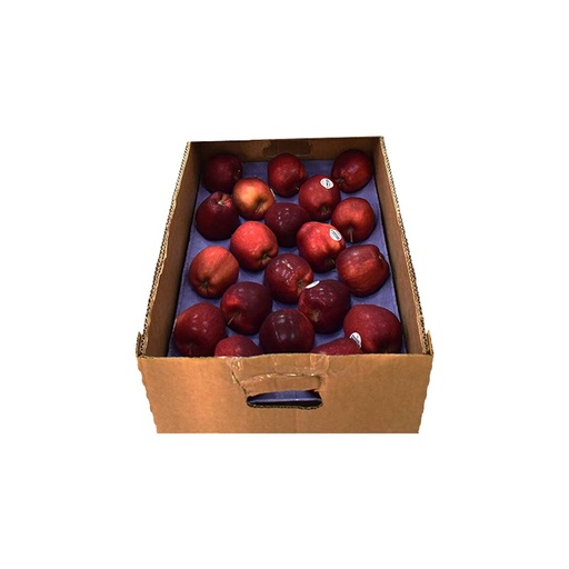[2300] Apple Red Box (USA)