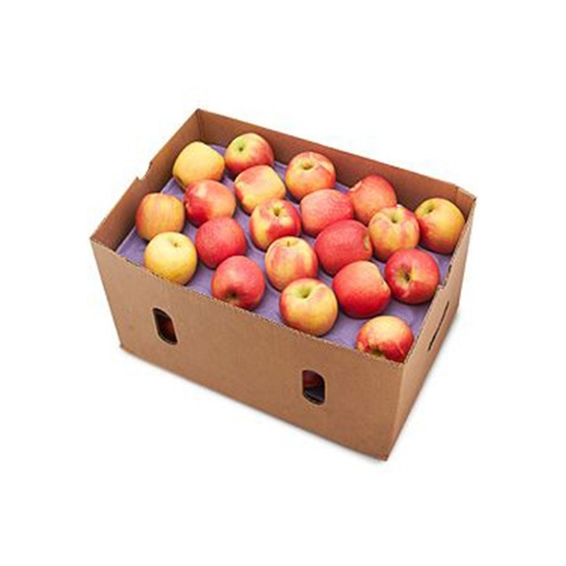 [18295] Apple Royal Gala Box