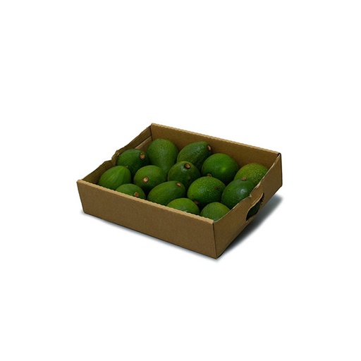 [3057] Avocado Kenya Box