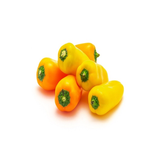 [11568] Baby Capsicum Yellow