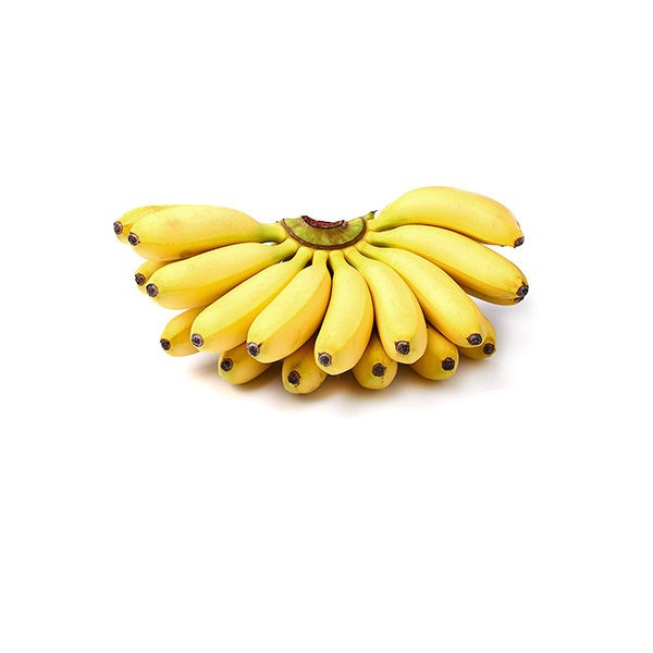 [1073] Banana Small