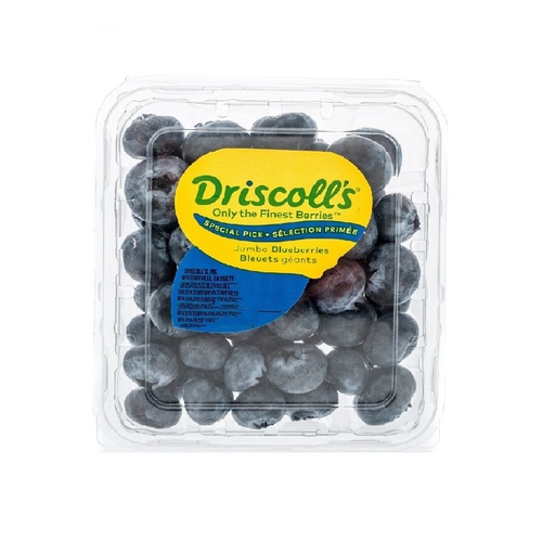 [18440] Blueberry Driscoll's