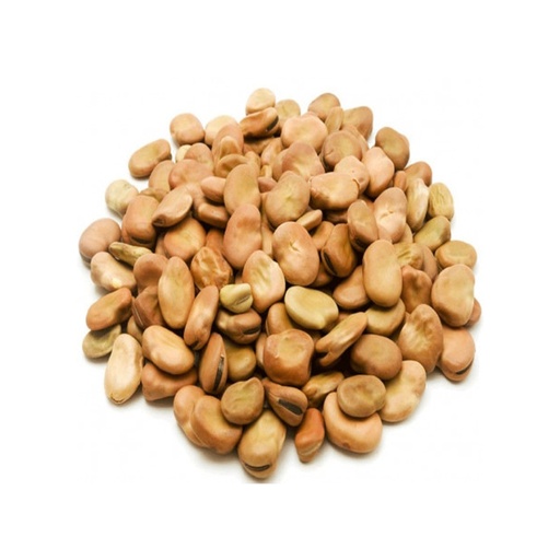 [18671] Broad Beans