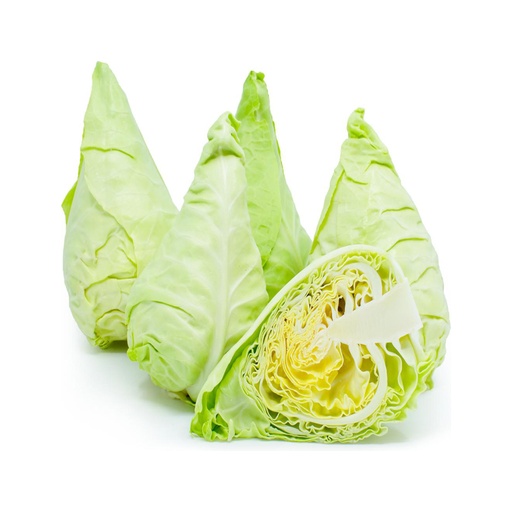 [3171] Cabbage Spring Holland