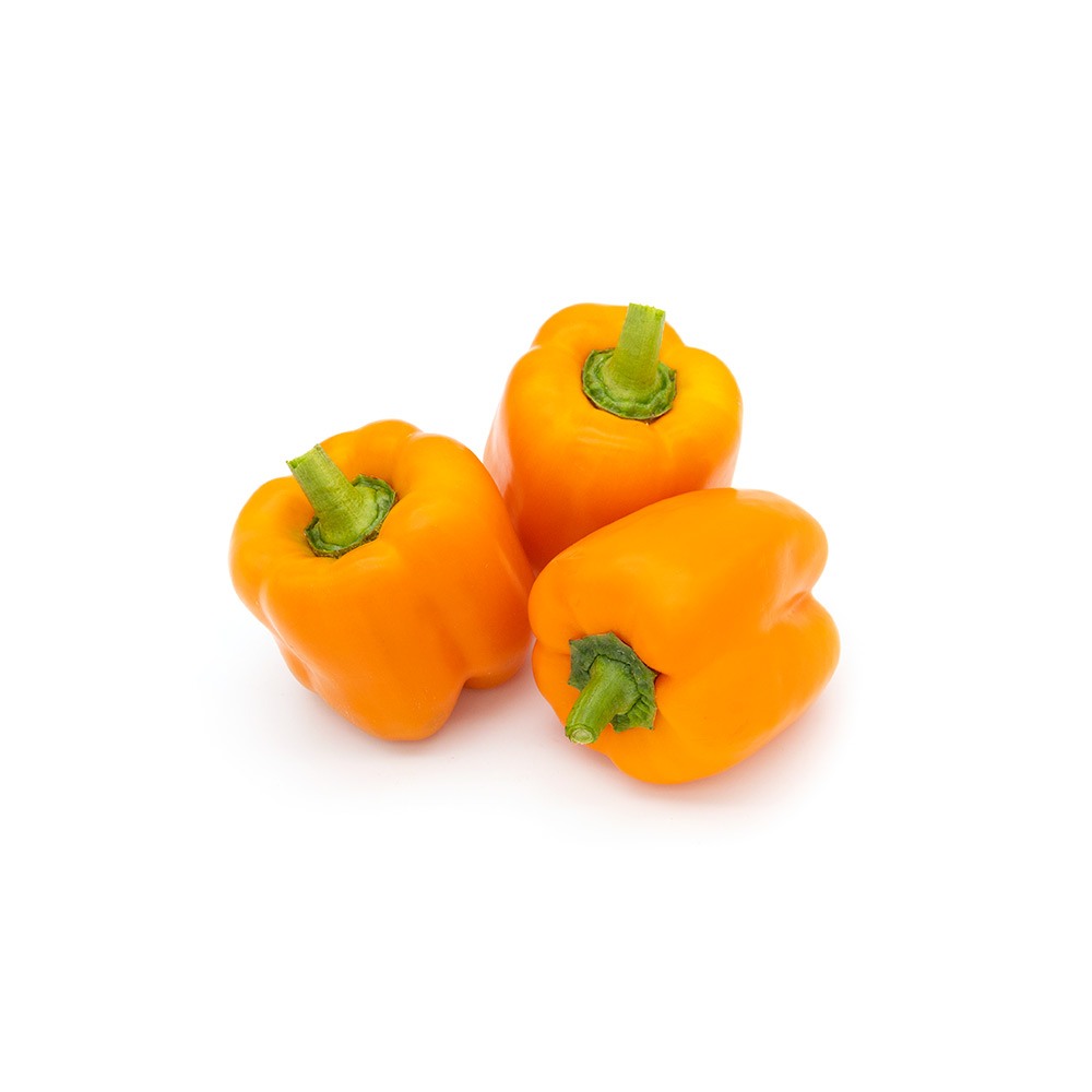 [1070] Capsicum Orange Holland