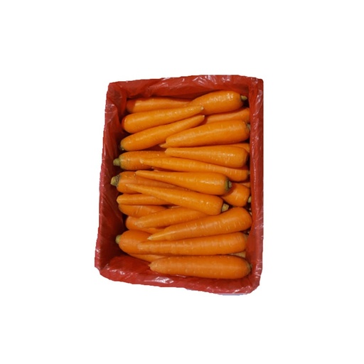 [1853] Carrot Box (China)