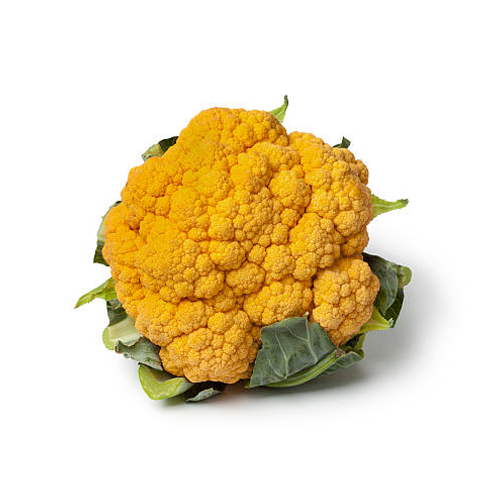 [3226] Cauliflower Orange